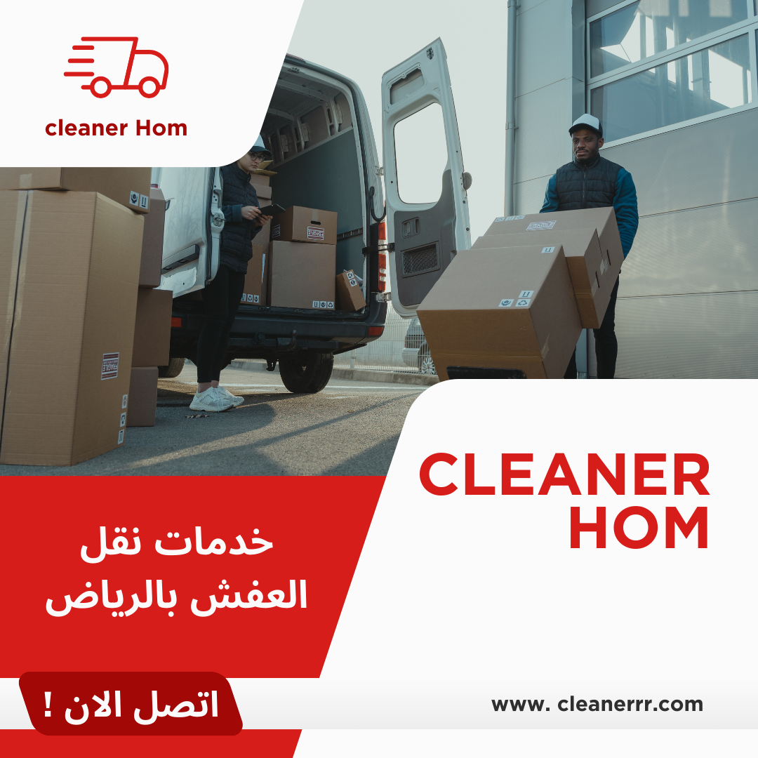 Cleaner Home 2